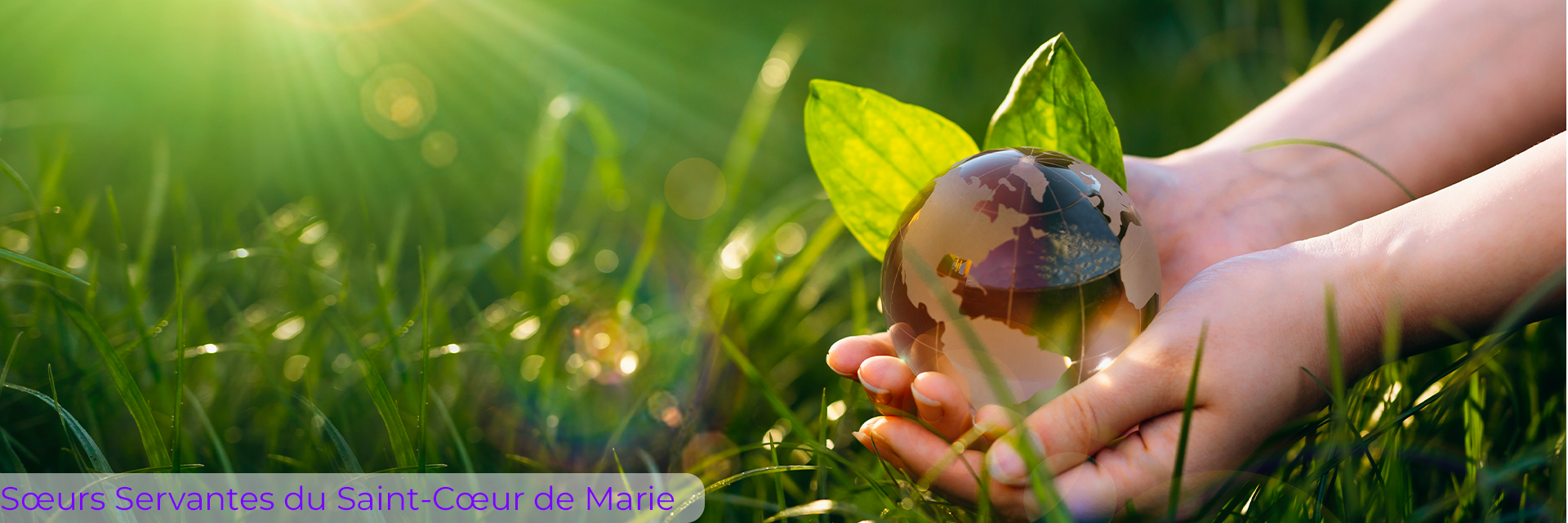 Sœurs Servantes du Saint-Cœur de Marie