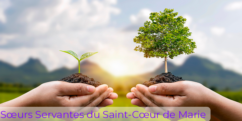 Sœurs Servantes du Saint-Cœur de Marie