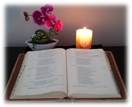 Sœurs Servantes du Saint-Cœur de Marie